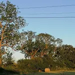 Les Hirondelles Bleues Bed & Breakfast