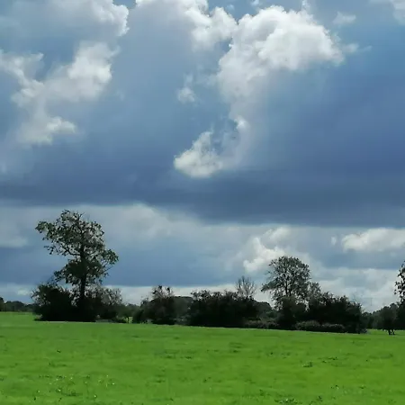 Bed and breakfast Les Hirondelles Bleues 3*