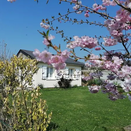 Bed and breakfast Les Hirondelles Bleues