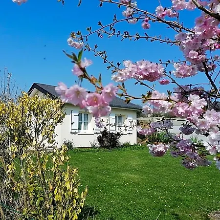 Les Hirondelles Bleues Isigny-sur-Mer