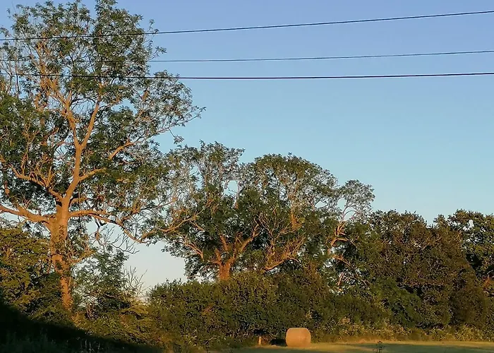 Les Hirondelles Bleues Bed & Breakfast