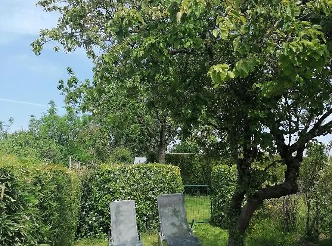 Les Hirondelles Bleues