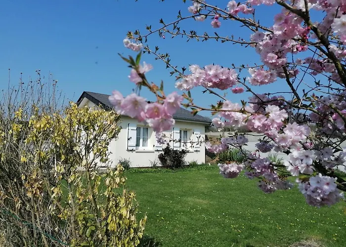 Bed & Breakfast Les Hirondelles Bleues